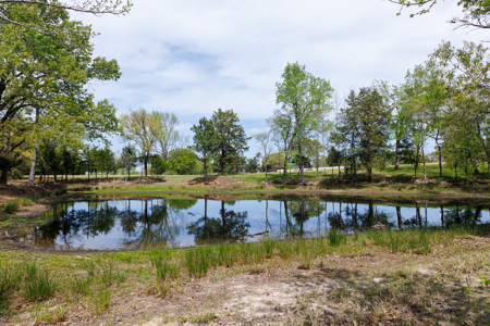 Ranch for Sale 76.5 Acres, 3 Ponds & Oak Timber Near Ben Wheeler - image 37