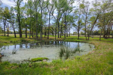Ranch for Sale 76.5 Acres, 3 Ponds & Oak Timber Near Ben Wheeler - image 26