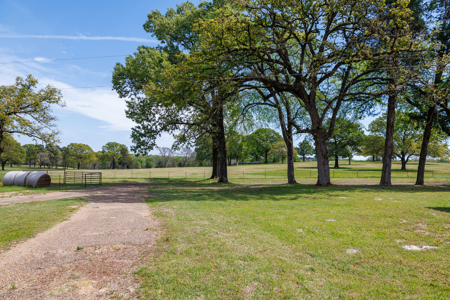 Ranch for Sale 76.5 Acres, 3 Ponds & Oak Timber Near Ben Wheeler - image 5
