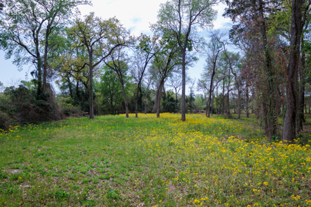 Ranch for Sale 76.5 Acres, 3 Ponds & Oak Timber Near Ben Wheeler - image 32