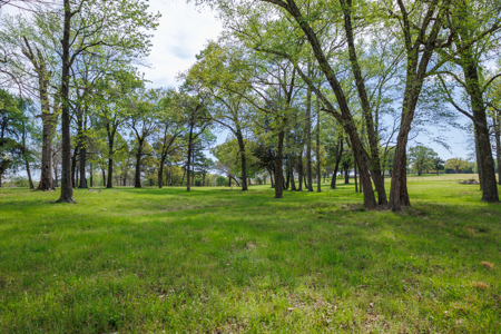 Ranch for Sale 76.5 Acres, 3 Ponds & Oak Timber Near Ben Wheeler - image 25
