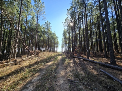 Poteau Mountain Recreational Property – For Sale - image 1