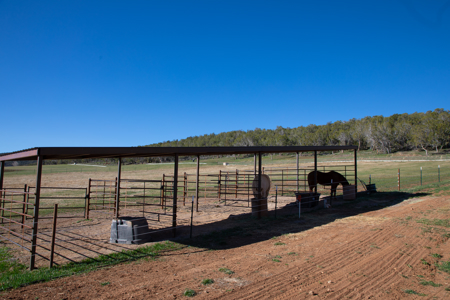Crawford Colorado mountain horse ranch, equine property for sale - image 34