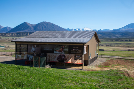 Crawford Colorado mountain horse ranch, equine property for sale - image 31