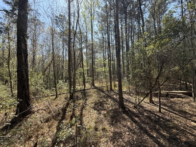 10 Acre Homesite in Houston County Alabama. - image 6
