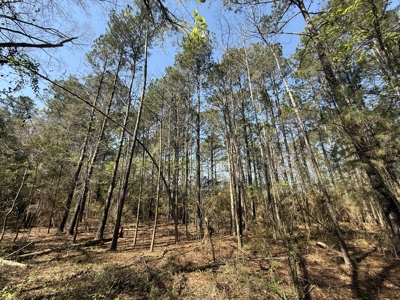 10 Acre Homesite in Houston County Alabama. - image 15