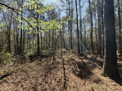 10 Acre Homesite in Houston County Alabama. - image 7