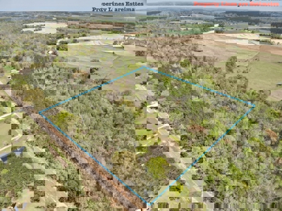 10 Acre Homesite in Houston County Alabama. - image 2