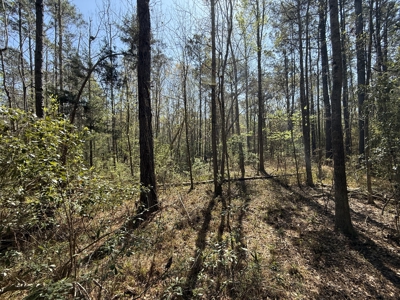 10 Acre Homesite in Houston County Alabama. - image 5