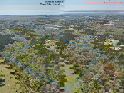 10 Acre Homesite in Houston County Alabama. - image 4