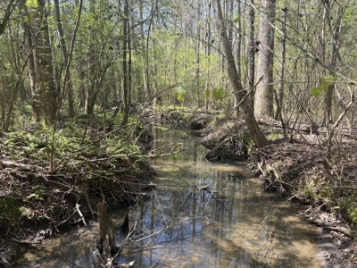 10 Acre Homesite in Houston County Alabama. - image 11