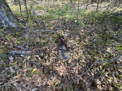 10 Acre Homesite in Houston County Alabama. - image 18