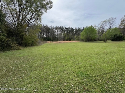 146 A Cloverdale Rd Near Natchez MS Quiet Home on 7.22 Acres - image 21