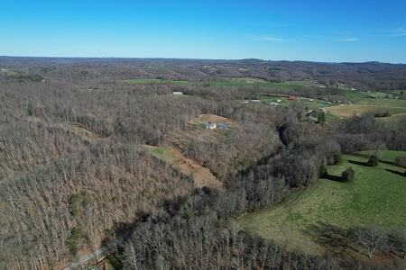 Conner Estate-House & Garage-12 Acres-Tractor-Tools-Etc. - image 10