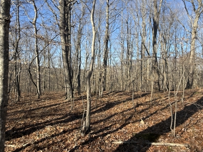 Conner Estate-House & Garage-12 Acres-Tractor-Tools-Etc. - image 50
