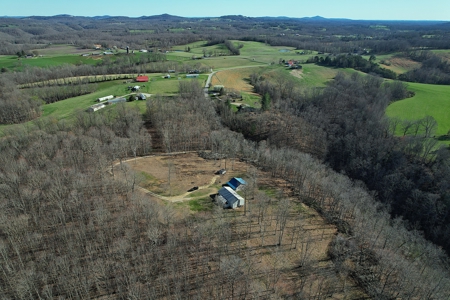 Conner Estate-House & Garage-12 Acres-Tractor-Tools-Etc. - image 12