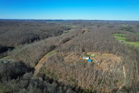 Conner Estate-House & Garage-12 Acres-Tractor-Tools-Etc. - image 9