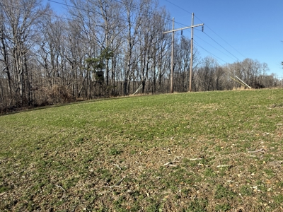 Conner Estate-House & Garage-12 Acres-Tractor-Tools-Etc. - image 48