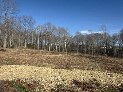 Conner Estate-House & Garage-12 Acres-Tractor-Tools-Etc. - image 45