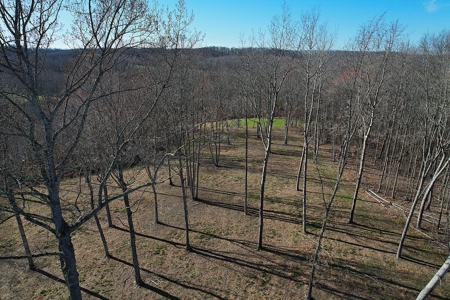 Conner Estate-House & Garage-12 Acres-Tractor-Tools-Etc. - image 17