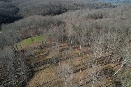 Conner Estate-House & Garage-12 Acres-Tractor-Tools-Etc. - image 18