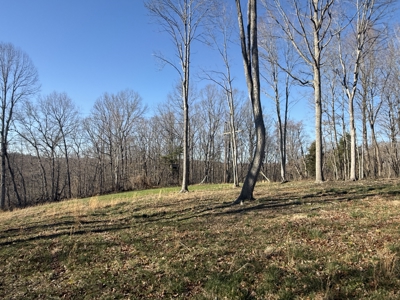 Conner Estate-House & Garage-12 Acres-Tractor-Tools-Etc. - image 47