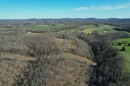 Conner Estate-House & Garage-12 Acres-Tractor-Tools-Etc. - image 11