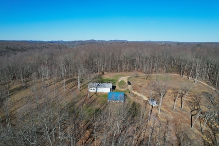 Conner Estate-House & Garage-12 Acres-Tractor-Tools-Etc. - image 7