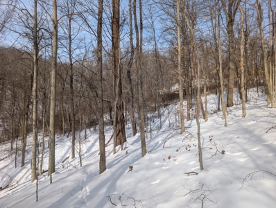 Monroe County Timberland and Hunting Tract 11 - image 19