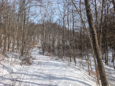 Monroe County Timberland and Hunting Tract 11 - image 3