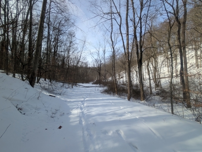 Monroe County Timberland and Hunting Tract 11 - image 13