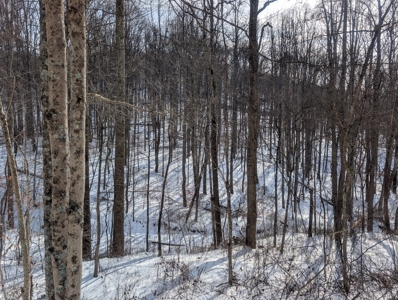 Monroe County Timberland and Hunting Tract 11 - image 2