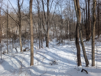Monroe County Timberland and Hunting Tract 11 - image 5