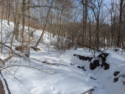Monroe County Timberland and Hunting Tract 11 - image 15