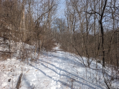 Monroe County Timberland and Hunting Tract 11 - image 1