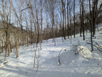 Monroe County Timberland and Hunting Tract 11 - image 9
