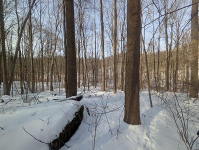 Monroe County Timberland and Hunting Tract 11 - image 7