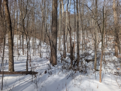 Monroe County Timberland and Hunting Tract 11 - image 4