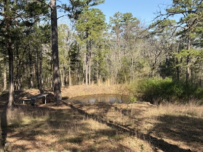 Country Home on 21 Acres near Red Oak, OK - image 21