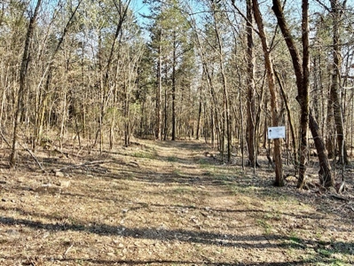 Riverfront Home For Sale With Land in Northern Arkansas - image 46