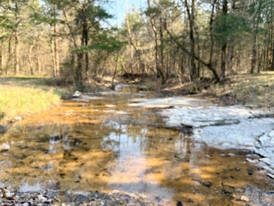 Riverfront Home For Sale With Land in Northern Arkansas - image 11