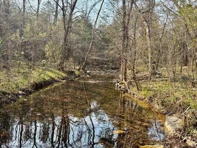 Riverfront Home For Sale With Land in Northern Arkansas - image 12