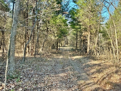 Riverfront Home For Sale With Land in Northern Arkansas - image 45