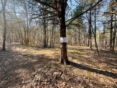 Riverfront Home For Sale With Land in Northern Arkansas - image 7