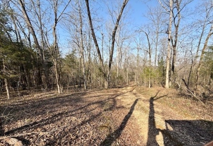 Riverfront Home For Sale With Land in Northern Arkansas - image 30