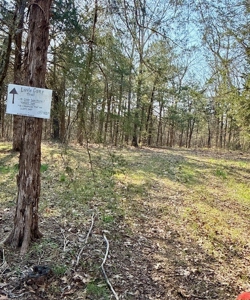 Riverfront Home For Sale With Land in Northern Arkansas - image 6