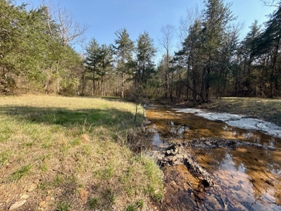 Riverfront Home For Sale With Land in Northern Arkansas - image 13
