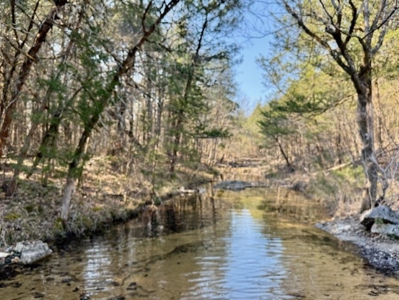 Riverfront Home For Sale With Land in Northern Arkansas - image 23
