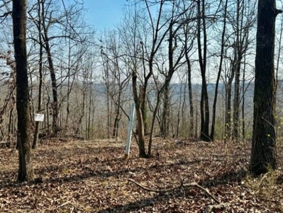 Riverfront Home For Sale With Land in Northern Arkansas - image 21