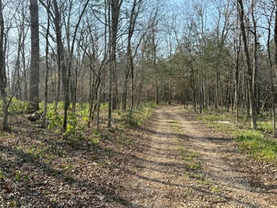 Riverfront Home For Sale With Land in Northern Arkansas - image 31